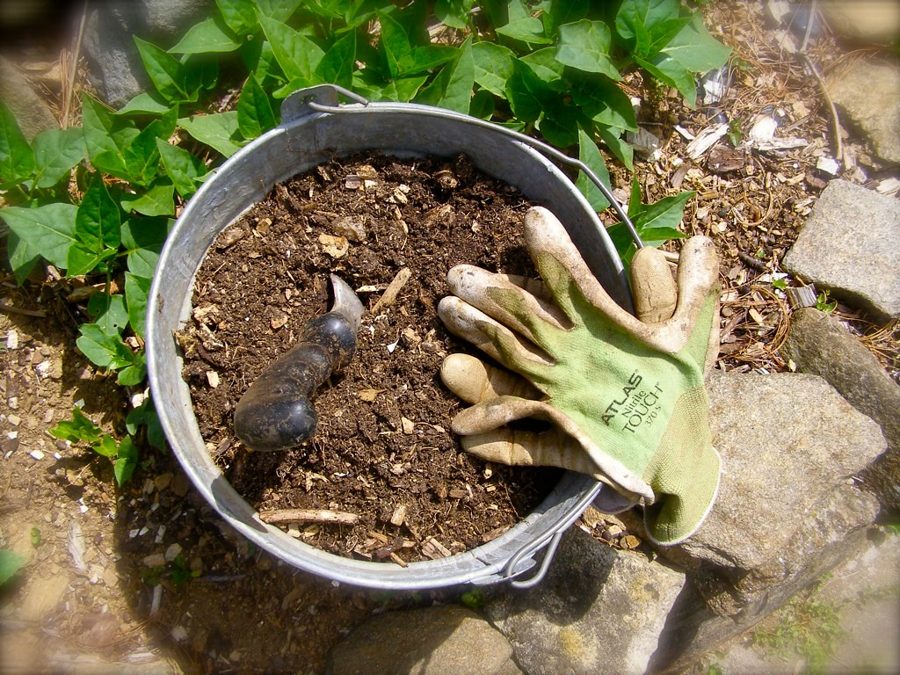 Top Soil (Tierra Vegetal)