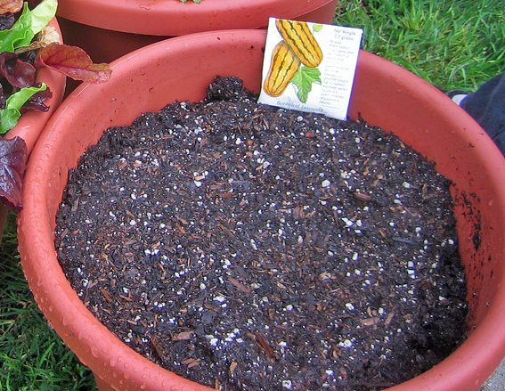 Tierra Preparada para Tiestos