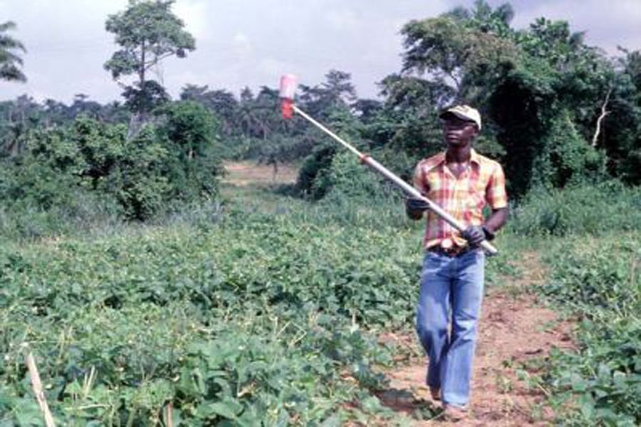 Tratamiento para Plagas en Plantas